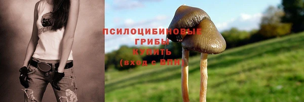 герыч Алексеевка