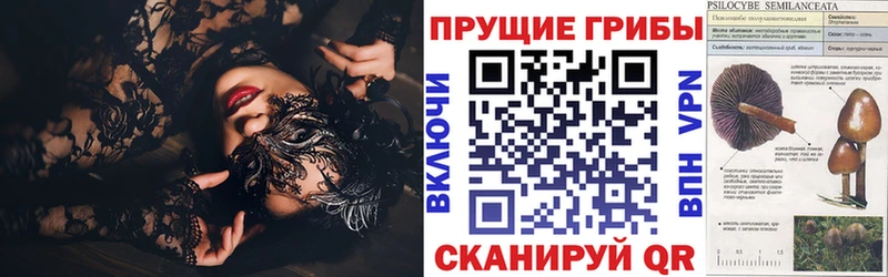 Галлюциногенные грибы мухоморы  Можга 